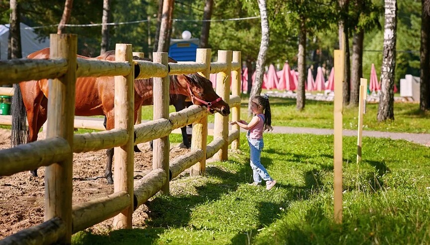 Мини-зоопарк